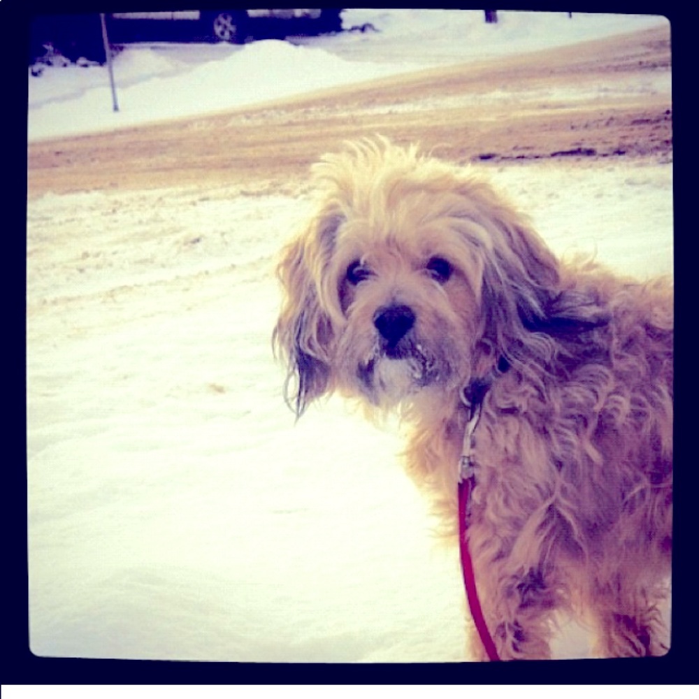 Meet your Posher, Andrea